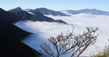 Xứ núi trong thơ
