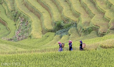 “Khuy áo đỏ”: Trăm nẻo đắng cay ngọt bùi của người phụ nữ vùng cao