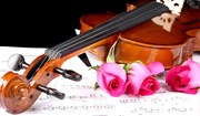 Tình yêu bền bỉ với cây đàn violon
