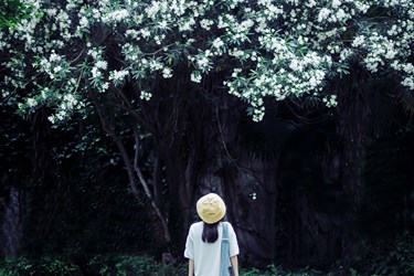 “Cánh cửa bên kia”: Nỗi đau của người phụ nữ khi bị phản bội