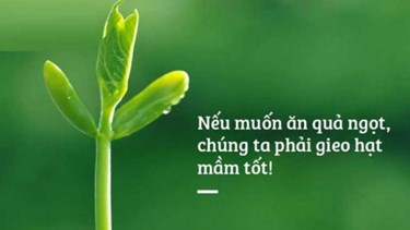 “Phép lạ”: Luật nhân quả