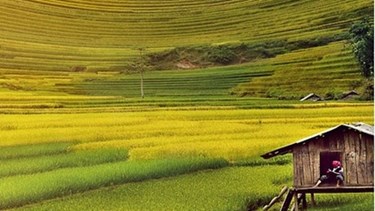 Tục ngữ về thiên nhiên và lao động của các dân tộc Việt