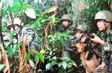 “Lá vẫn xanh màu”: Màu của sự sống, màu của bình yên