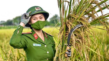 “Lửa cháy trên sông mưa”: Bình yên cuộc sống