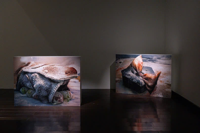 Mở xưởng “Tuyết mùa xuân” của nữ nghệ sĩ Diane Severin Nguyen

