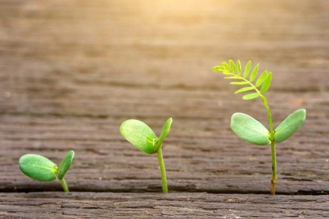 Phản tỉnh mất kết nối 