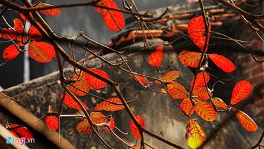 Mùa thu yêu thương