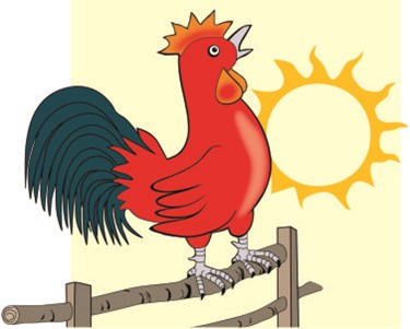 Vẽ chú gà trống có khó không?