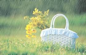 Tháng Bảy với những cơn mưa ngâu bất chợt